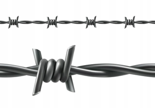 Pletivo, oplotenie - OC Barbed Wire+PVC 2,5/2,0/100 m RAL6005
