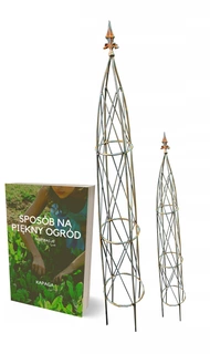 Perangola - KOVOVÁ PERGOLA pre záhradné ruže eBook ZADARMO