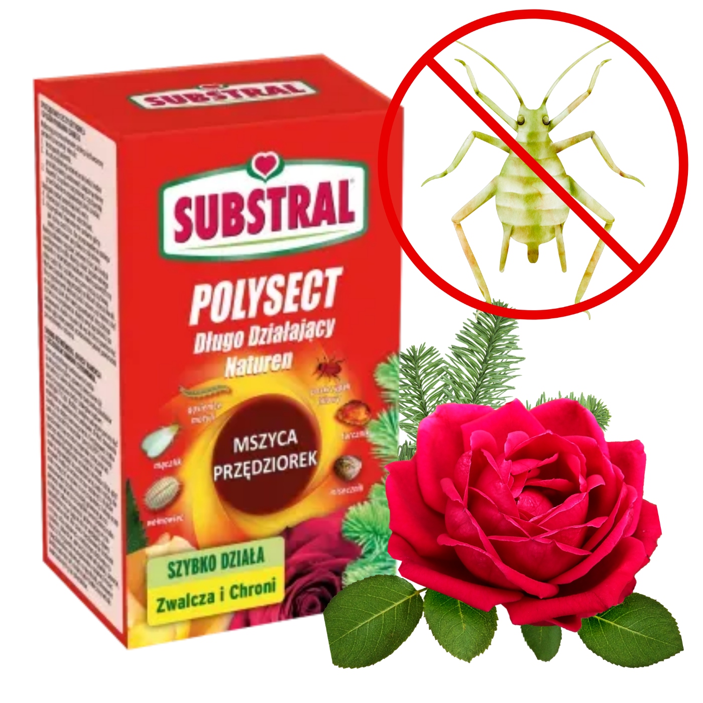 Polysect Mszyca - Účinný Insekticíd Proti Škodcom 100ml