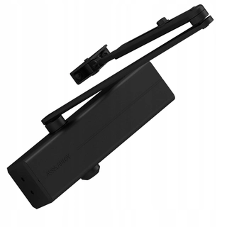 Zatvárač dverí - Dvere Second Cleaner Black 100 kg Assa Abloy DC140
