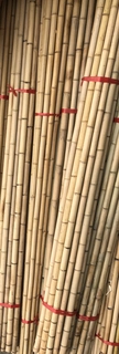 Bambusové tyče 200 cm (20 ks), priemer 3-4 cm