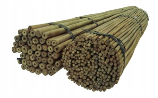 Bambusové tyče 180 cm 18/20 mm / 100 ks /, bambus